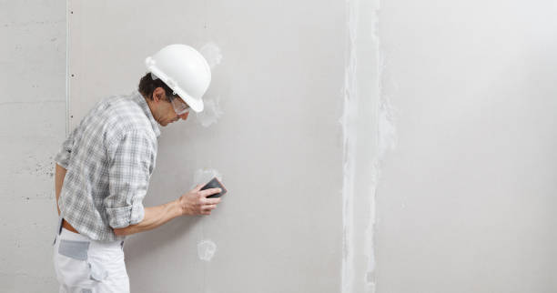 Best Post-Construction Mold Inspection  in Goodlettsville, TN