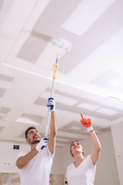 Best Black Mold Removal  in Goodlettsville, TN