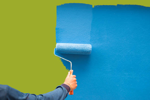Best Attic Mold Removal  in Goodlettsville, TN