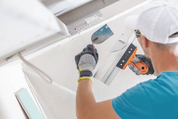 Best Air Quality Testing for Mold Spores  in Goodlettsville, TN